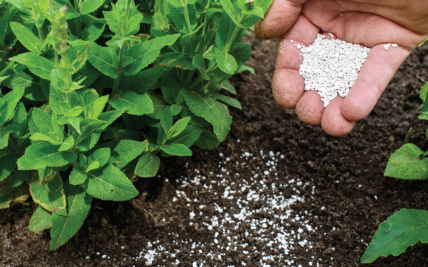 Soil Analysis Webinar Series: Phosphate Extractions & Analysis