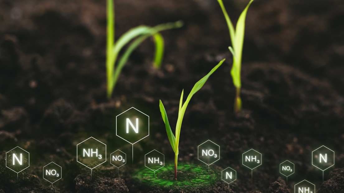 Soil Analysis Webinar Series: Ammonia & Nitrate+Nitrite Testing