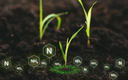 Soil Analysis Webinar Series: Ammonia & Nitrate+Nitrite Testing